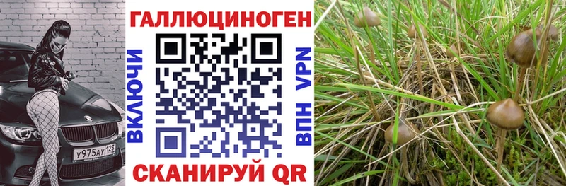 Галлюциногенные грибы Magic Shrooms  Валуйки 