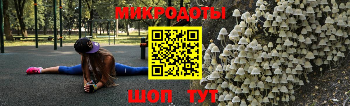 Галлюциногенные грибы Psilocybe  Валуйки 